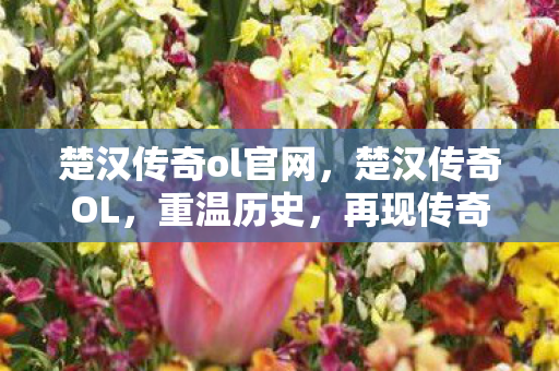 楚汉传奇ol官网,楚汉传奇OL,重温历史,再现传奇 楚汉传奇ol官网,楚汉传奇OL,重温历史,再现传奇