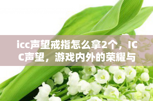 icc声望戒指怎么拿2个,ICC声望,游戏内外的荣耀与追求 icc声望戒指怎么拿2个,ICC声望,游戏内外的荣耀与追求