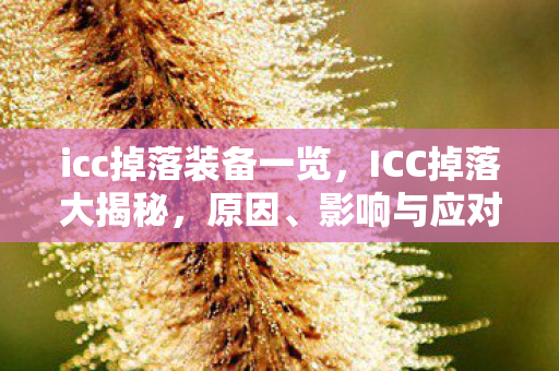 icc掉落装备一览,ICC掉落大揭秘,原因、影响与应对策略 icc掉落装备一览,ICC掉落大揭秘,原因、影响与应对策略