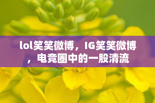 lol笑笑微博,IG笑笑微博,电竞圈中的一股清流 lol笑笑微博,IG笑笑微博,电竞圈中的一股清流