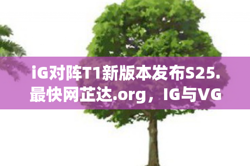 iG对阵T1新版本发布S25.最快网芷达.org，IG与VG的巅峰对决，一场电竞盛宴的剖析