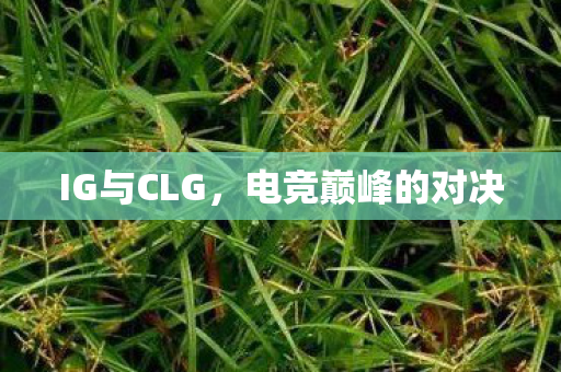 IG与CLG,电竞巅峰的对决 IG与CLG,电竞巅峰的对决
