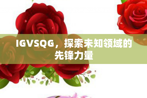 IGVSQG，探索未知领域的先锋力量