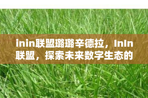 inin联盟璐璐辛德拉，InIn联盟，探索未来数字生态的新纪元