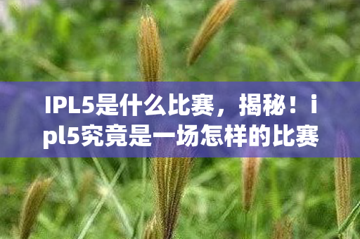 IPL5是什么比赛,揭秘!ipl5究竟是一场怎样的比赛? IPL5是什么比赛,揭秘!ipl5究竟是一场怎样的比赛?