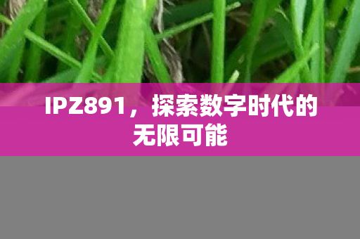 IPZ891，探索数字时代的无限可能