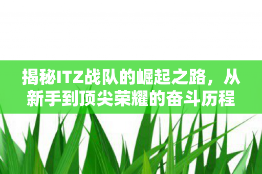 揭秘ITZ战队的崛起之路，从新手到顶尖荣耀的奋斗历程