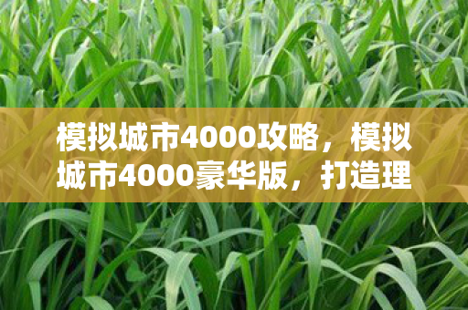 模拟城市4000攻略,模拟城市4000豪华版,打造理想城市的终极挑战 模拟城市4000攻略,模拟城市4000豪华版,打造理想城市的终极挑战