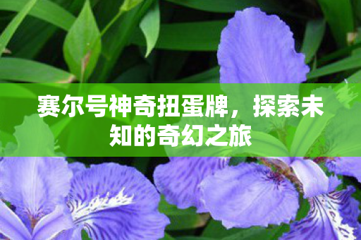 赛尔号神奇扭蛋牌，探索未知的奇幻之旅