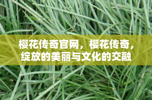 樱花传奇官网，樱花传奇，绽放的美丽与文化的交融