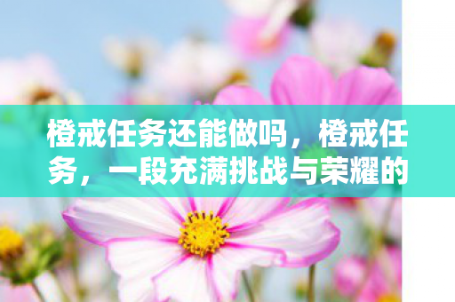 橙戒任务还能做吗，橙戒任务，一段充满挑战与荣耀的史诗之旅