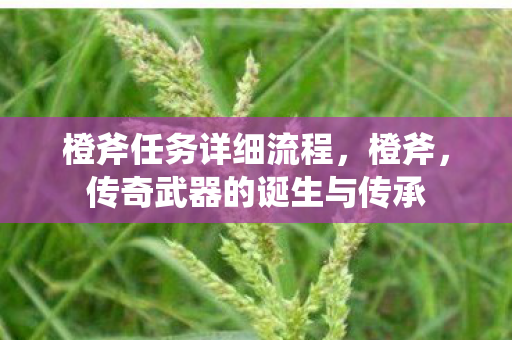 橙斧任务详细流程，橙斧，传奇武器的诞生与传承