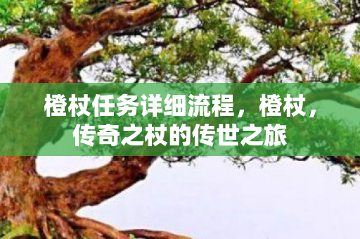 橙杖任务详细流程，橙杖，传奇之杖的传世之旅