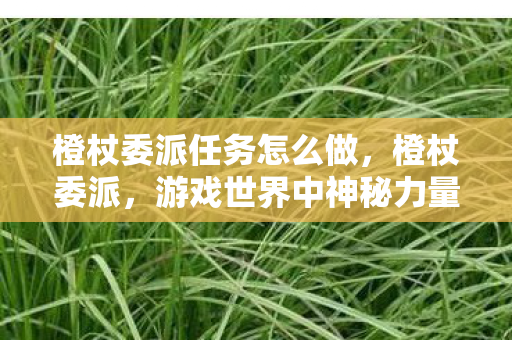 橙杖委派任务怎么做，橙杖委派，游戏世界中神秘力量的传承与探索