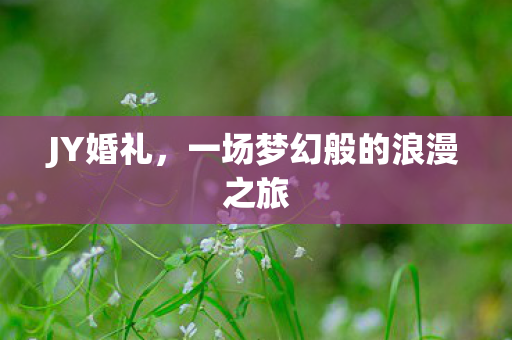 JY婚礼,一场梦幻般的浪漫之旅 JY婚礼,一场梦幻般的浪漫之旅
