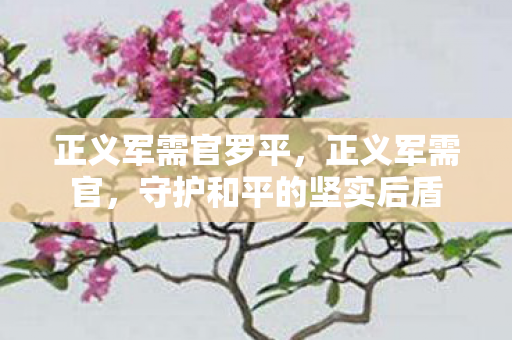 正义军需官罗平,正义军需官,守护和平的坚实后盾 正义军需官罗平,正义军需官,守护和平的坚实后盾
