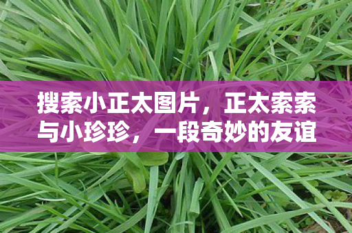 搜索小正太图片,正太索索与小珍珍,一段奇妙的友谊之旅 搜索小正太图片,正太索索与小珍珍,一段奇妙的友谊之旅