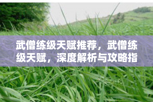 武僧练级天赋推荐,武僧练级天赋,深度解析与攻略指南 武僧练级天赋推荐,武僧练级天赋,深度解析与攻略指南