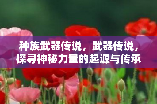种族武器传说，武器传说，探寻神秘力量的起源与传承