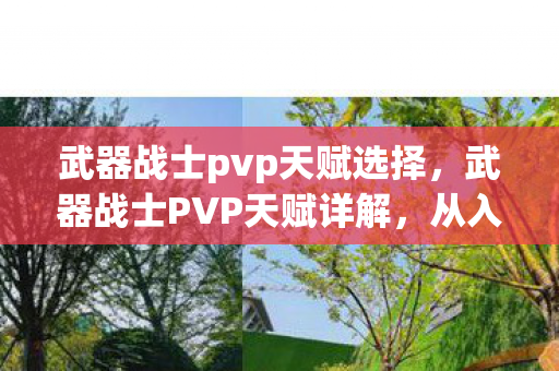 武器战士pvp天赋选择,武器战士PVP天赋详解,从入门到精通 武器战士pvp天赋选择,武器战士PVP天赋详解,从入门到精通