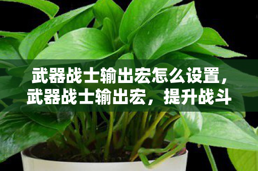 武器战士输出宏怎么设置,武器战士输出宏,提升战斗效率的关键工具 武器战士输出宏怎么设置,武器战士输出宏,提升战斗效率的关键工具