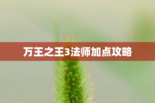 万王之王3法师加点攻略 万王之王3法师加点攻略