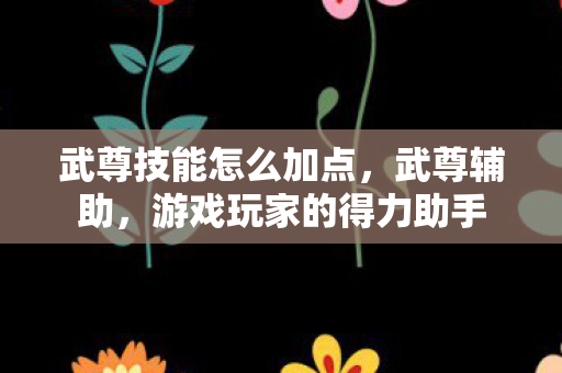武尊技能怎么加点,武尊辅助,游戏玩家的得力助手 武尊技能怎么加点,武尊辅助,游戏玩家的得力助手