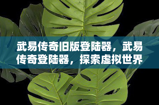 武易传奇旧版登陆器,武易传奇登陆器,探索虚拟世界的便捷之门 武易传奇旧版登陆器,武易传奇登陆器,探索虚拟世界的便捷之门