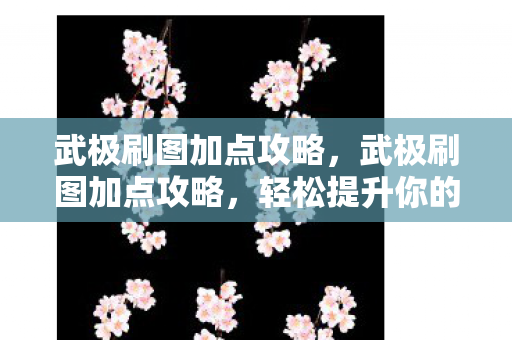 武极刷图加点攻略,武极刷图加点攻略,轻松提升你的战斗效率! 武极刷图加点攻略,武极刷图加点攻略,轻松提升你的战斗效率!