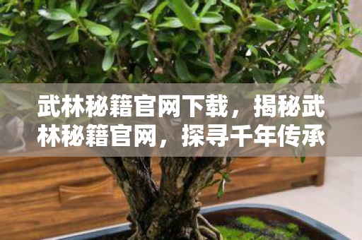 武林秘籍官网下载,揭秘武林秘籍官网,探寻千年传承的武学奥秘 武林秘籍官网下载,揭秘武林秘籍官网,探寻千年传承的武学奥秘