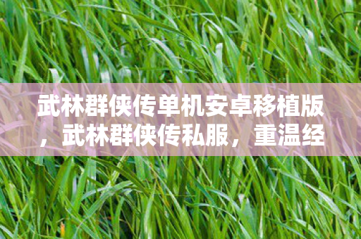武林群侠传单机安卓移植版,武林群侠传私服,重温经典,探寻江湖新篇章 武林群侠传单机安卓移植版,武林群侠传私服,重温经典,探寻江湖新篇章