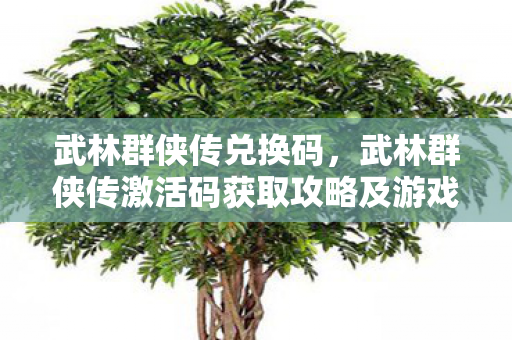 武林群侠传兑换码,武林群侠传激活码获取攻略及游戏深度体验分享 武林群侠传兑换码,武林群侠传激活码获取攻略及游戏深度体验分享