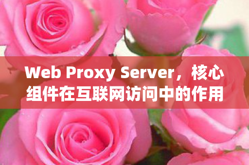 Web Proxy Server,核心组件在互联网访问中的作用 Web Proxy Server,核心组件在互联网访问中的作用