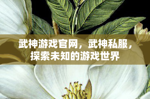 武神游戏官网,武神私服,探索未知的游戏世界 武神游戏官网,武神私服,探索未知的游戏世界
