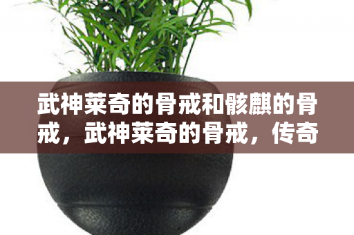 武神莱奇的骨戒和骸麒的骨戒,武神莱奇的骨戒,传奇故事的巅峰之作 武神莱奇的骨戒和骸麒的骨戒,武神莱奇的骨戒,传奇故事的巅峰之作