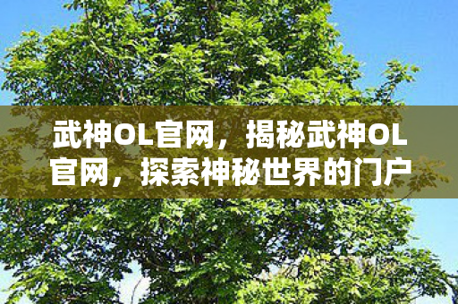 武神OL官网，揭秘武神OL官网，探索神秘世界的门户
