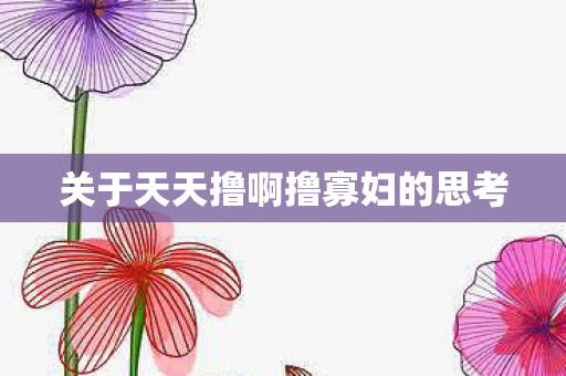 关于天天撸啊撸寡妇的思考 关于天天撸啊撸寡妇的思考