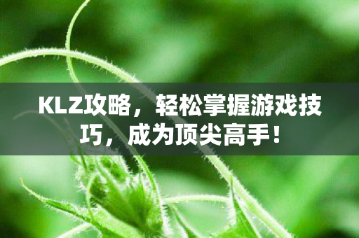 KLZ攻略,轻松掌握游戏技巧,成为顶尖高手! KLZ攻略,轻松掌握游戏技巧,成为顶尖高手!