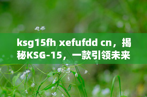 ksg15fh xefufdd cn,揭秘KSG-15,一款引领未来的高效储能技术革新 ksg15fh xefufdd cn,揭秘KSG-15,一款引领未来的高效储能技术革新