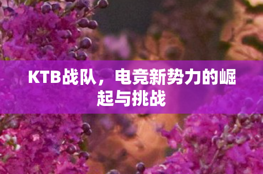 KTB战队，电竞新势力的崛起与挑战