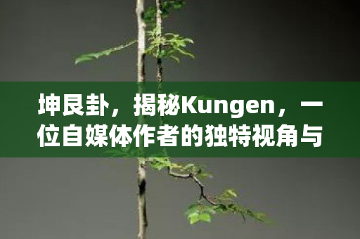 坤艮卦，揭秘Kungen，一位自媒体作者的独特视角与深度洞察