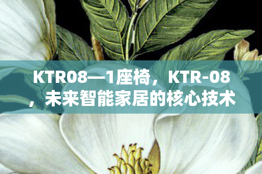 KTR08—1座椅,KTR-08,未来智能家居的核心技术揭秘 KTR08—1座椅,KTR-08,未来智能家居的核心技术揭秘