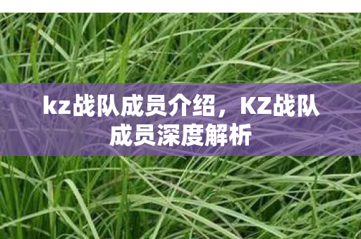 kz战队成员介绍,KZ战队成员深度解析 kz战队成员介绍,KZ战队成员深度解析