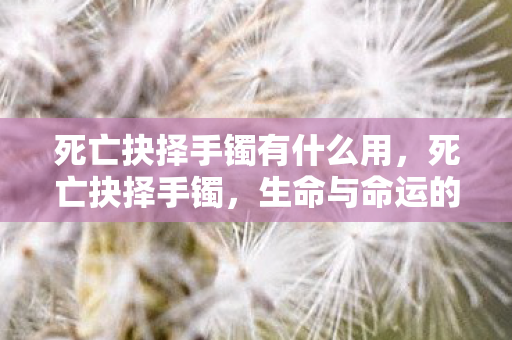 死亡抉择手镯有什么用,死亡抉择手镯,生命与命运的交织之谜 死亡抉择手镯有什么用,死亡抉择手镯,生命与命运的交织之谜