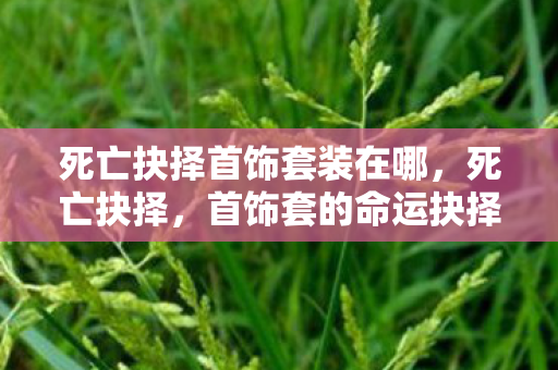 死亡抉择首饰套装在哪,死亡抉择,首饰套的命运抉择 死亡抉择首饰套装在哪,死亡抉择,首饰套的命运抉择
