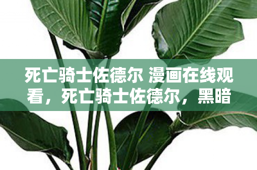 死亡骑士佐德尔 漫画在线观看,死亡骑士佐德尔,黑暗骑士的传奇故事 死亡骑士佐德尔 漫画在线观看,死亡骑士佐德尔,黑暗骑士的传奇故事