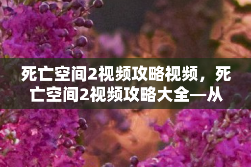 死亡空间2视频攻略视频,死亡空间2视频攻略大全—从入门到精通 死亡空间2视频攻略视频,死亡空间2视频攻略大全—从入门到精通