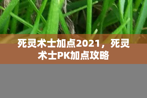 死灵术士加点2021,死灵术士PK加点攻略 死灵术士加点2021,死灵术士PK加点攻略