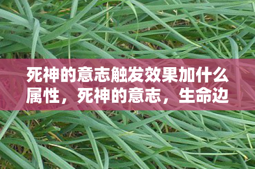 死神的意志触发效果加什么属性,死神的意志,生命边缘的探寻与感悟 死神的意志触发效果加什么属性,死神的意志,生命边缘的探寻与感悟