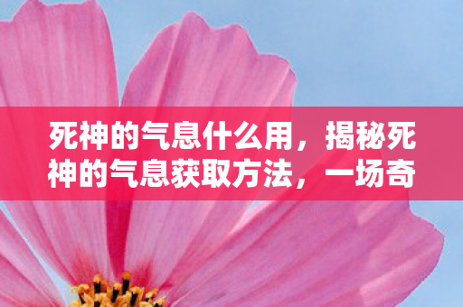 死神的气息什么用,揭秘死神的气息获取方法,一场奇幻冒险之旅 死神的气息什么用,揭秘死神的气息获取方法,一场奇幻冒险之旅